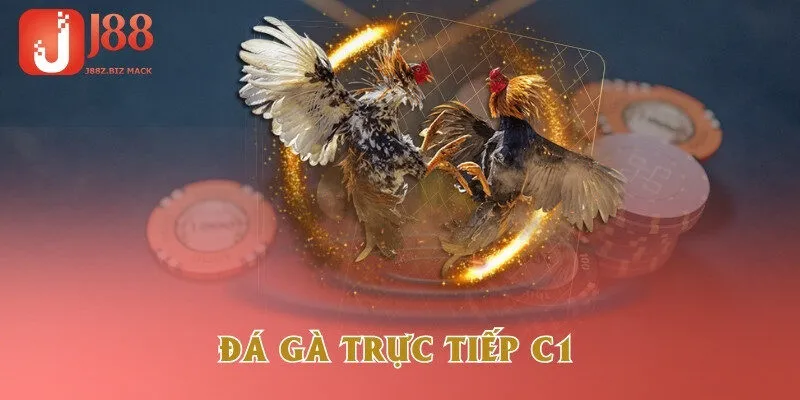 da-ga-truc-tiep-c1